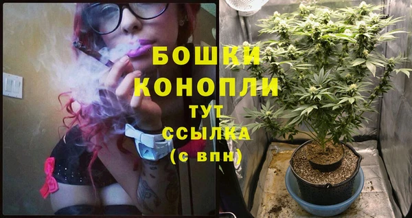 стафф Пересвет