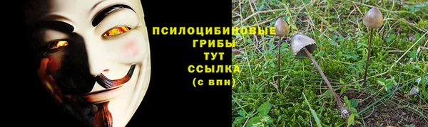 амфетамин Покров