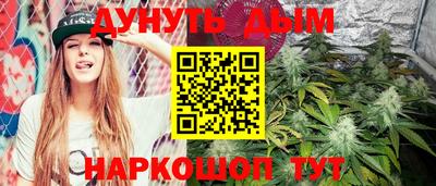 стафф Кингисепп