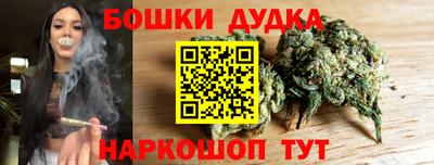 стафф Кингисепп