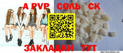 стафф Кингисепп