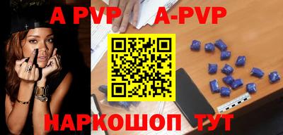 стафф Кингисепп