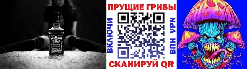 блэк спрут сайт  Кыштым  Псилоцибиновые грибы GOLDEN TEACHER 