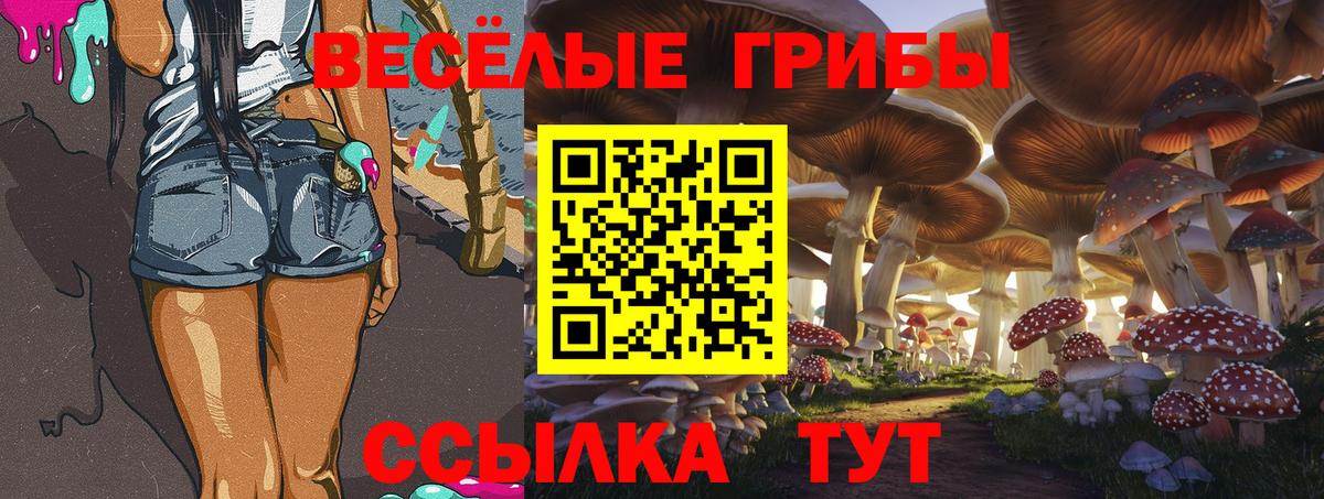 Галлюциногенные грибы Magic Shrooms  Галлюциногенные грибы мухоморы  Вход с VPN  даркнет сайт  Кыштым 