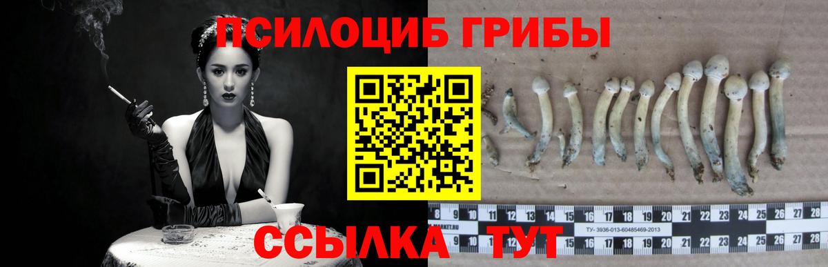 Псилоцибиновые грибы ЛСД Кыштым